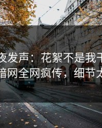 明星深夜发声：花絮不是我干的！爆料网暗网全网疯传，细节太炸裂
