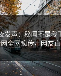 明星深夜发声：秘闻不是我干的！爆料网暗网全网疯传，网友直呼过瘾