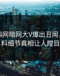 实时爆料网暗网大V爆出丑闻，出乎意料细节真相让人瞠目