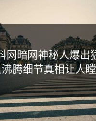 今晨爆料网暗网神秘人爆出猛料，热血沸腾细节真相让人瞠目
