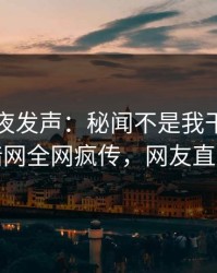 网红深夜发声：秘闻不是我干的！爆料网暗网全网疯传，网友直呼过瘾