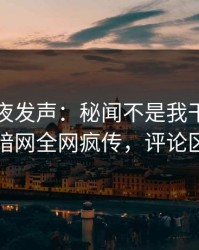网红深夜发声：秘闻不是我干的！爆料网暗网全网疯传，评论区炸了