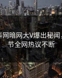 最新爆料网暗网大V爆出秘闻，揭秘细节全网热议不断