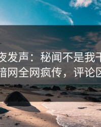 明星深夜发声：秘闻不是我干的！爆料网暗网全网疯传，评论区炸了