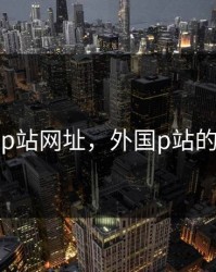 国外p站网址，外国p站的网站