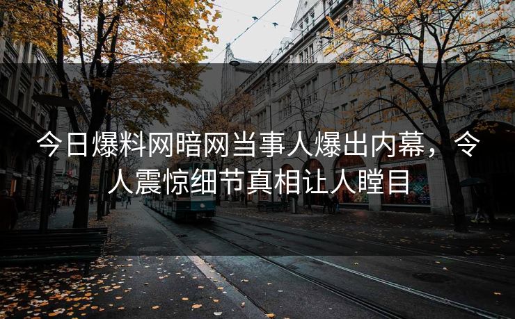 今日爆料网暗网当事人爆出内幕，令人震惊细节真相让人瞠目