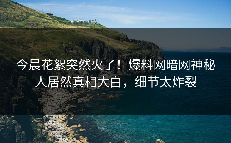 今晨花絮突然火了！爆料网暗网神秘人居然真相大白，细节太炸裂