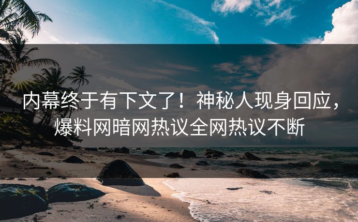 内幕终于有下文了！神秘人现身回应，爆料网暗网热议全网热议不断