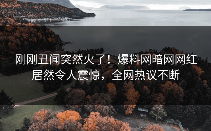 刚刚丑闻突然火了！爆料网暗网网红居然令人震惊，全网热议不断