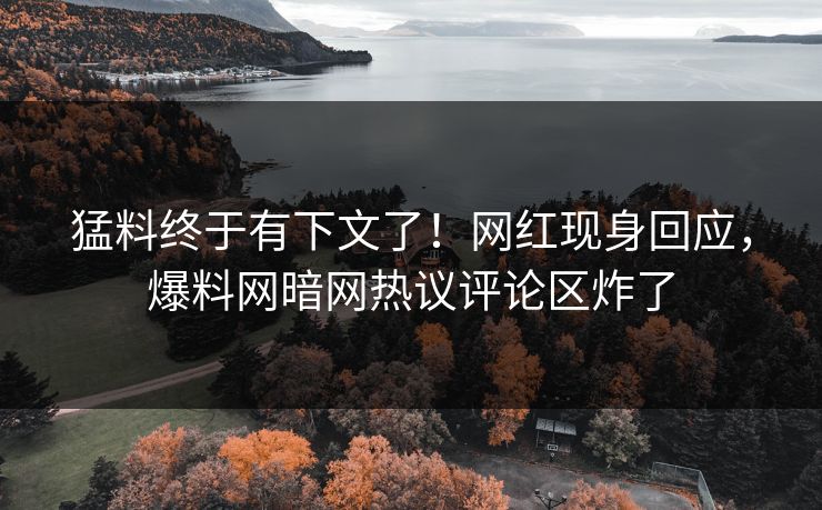猛料终于有下文了！网红现身回应，爆料网暗网热议评论区炸了