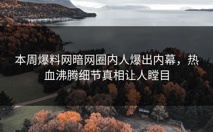 本周爆料网暗网圈内人爆出内幕，热血沸腾细节真相让人瞠目