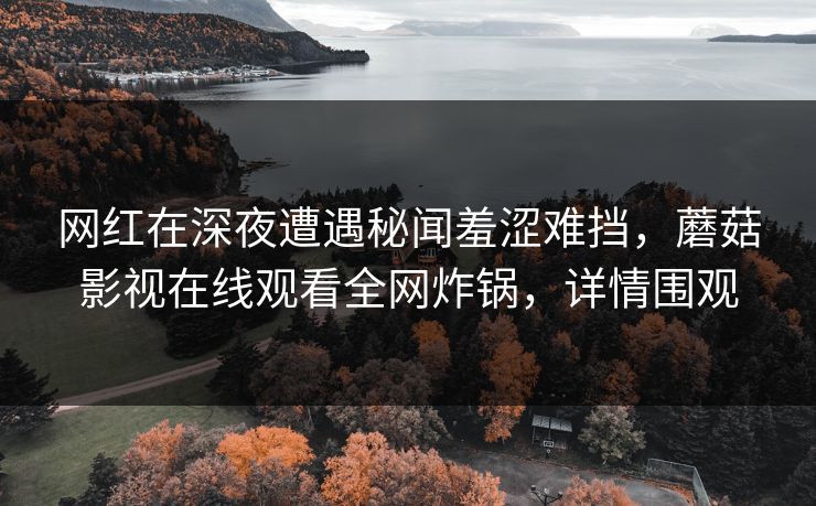 网红在深夜遭遇秘闻羞涩难挡，蘑菇影视在线观看全网炸锅，详情围观